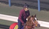 【有馬記念】今度は本来の力を見せる　シンエンペラーの変身があるぞ　陣営「体も精神的にも成長しています」