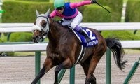 【有馬記念】武豊騎手が歴代単独トップの5勝目なるか 宝塚記念覇者のメイショウタバルで参戦