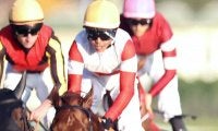【有馬記念・超ブル診断ステップレース編】レーティングでも上位　ＪＣ組の“箱押し”が得策か