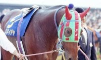 【有馬記念】ナイスネイチャも歩んだ道 マイルCSからのローテで馬券内に入った馬たち