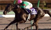 有馬記念着差ランキング 1位は“GI史上最大タイ”の圧勝劇