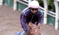 【有馬記念】ジャパンＣでゴール後に放馬のダノンデサイルは坂路でソフト追い　安田調教師「問題ない。むしろ上積み感じる」