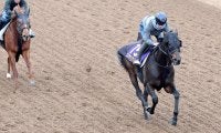 【有馬記念】コスモキュランダは初ブリンカーで過去最高の動き　加藤士調教師「さらにいいなと感じている」