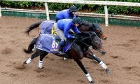 【有馬記念・山下が見た】ミュージアムマイルが調教最高評価　その理由と「皐月賞以上」陣営の期待
