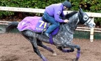 【有馬記念・考察】「前よりメッチャいい」乗り手の感触から不安が吹き飛んだアドマイヤテラ　攻め馬地味でも問題なし