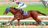 【有馬制した牝馬３】ダイワスカーレットが歴史的な逃走劇　３７年ぶりの快挙が”ラストラン”に