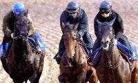 【有馬記念・角田が見た】レガレイラは１週前に比べて格段に良化も完調にはやや物足りず　陣営「整ってきました」