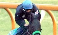 【有馬記念】ラストランもＣＷコース４ハロン追いで仕上げたジャスティンパレス　杉山晴調教師の狙いとは