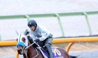 【有馬記念】ドラマ「ザ・ロイヤルファミリー」出演の勝浦正樹元騎手がメイショウタバルに自信の◎