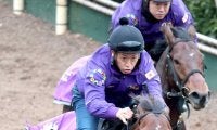 【ホープフルＳ】有力馬のラヴェニューが発熱で回避決定　友道調教師「来年もある馬。無理はさせられない」