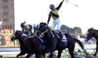 鹿島アントラーズ優勝イヤーの有馬記念は波乱含み 今年も二桁人気の激走があるか
