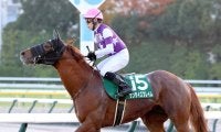 【兵庫ＧＴ】５９キロのサンライズフレイムは「浦和のような競馬ができれば崩れない」　出走馬の全陣営コメント