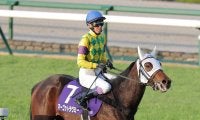 【注目馬動向】阪神ＪＦで８着のマーゴットラヴミーは報知杯ＦＲでの復帰を視野