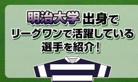 明治大学出身で、リーグワンで活躍している選手を紹介！
