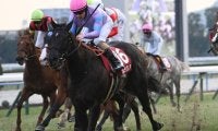 【阪神C出走馬・騎手確定】ナムラクレア＆C.ルメール騎手、ジューンブレア＆武豊騎手など16頭