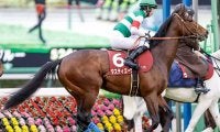 【有馬記念】大外の「8枠」にはエルトンバローズとタスティエーラ 枠順抽選会2025