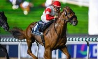 【有馬記念】過去10年で勝利＆複勝率トップ「5枠」に入ったのはダノンデサイル＆コスモキュランダ 枠順抽選会2025
