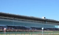 【有馬記念枠順確定】レガレイラは3枠5番、ダノンデサイルは5枠9番