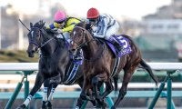 【有馬記念の過去10年データ】「内枠有利 外枠不利」が決まり文句 軸は内枠から中間枠で