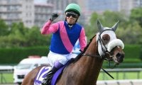 今週の武豊騎手は8鞍 メイショウタバルで歴代単独トップの有馬記念5勝目狙う