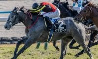 中山芝は徐々にタフな状況に ホープフルSでノチェセラーダが波乱を呼ぶか