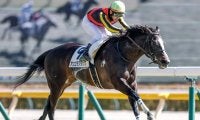 【中山金杯想定馬・騎手】アンゴラブラック、カネラフィーナなど15頭