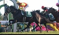 【ホープフルS】ジャスティンビスタは516kg…出走馬の調教後の馬体重