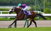 武豊騎手 今週の騎乗馬…日曜は有馬記念に一球入魂