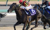 【ホープフルS】新馬＆未勝利組はGI昇格後0勝 重賞戦線での実績を重視したい一戦