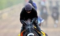 【阪神Ｃ】ルメール騎手「惜しかった」ナムラクレア猛烈追い上げも２着　連覇＆牝馬初の５年連続重賞Ｖならず