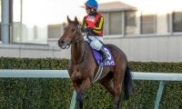 【有馬記念前日オッズ】レガレイラが3.2倍で1番人気