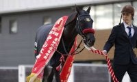 【中山大障害】草野「障害レースも面白いと思っていただけたら」エコロデュエルが春秋ジャンプ王に