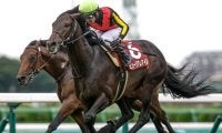 【有馬記念予想】掘れば正解が見えてくる？ 過去データから探るGI有馬記念