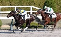 【阪神４Ｒ・２歳新馬】ソルオーブが長くいい脚で抜け出してＶ　ジェルー騎手「最後はいい脚が使えました」