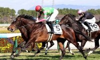 【阪神６Ｒ・２歳新馬】キシダンチョウが外から鋭く伸びて差し切る　高杉吏麒騎手「よく勝ち切ってくれたと思います」