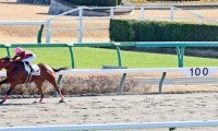 【中山５Ｒ・２歳新馬】単勝１・９倍のクラウトロックが８馬身差圧勝　プーシャン騎手「すごい走る馬。楽しみ」