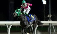 【大井・東京2歳優駿牝馬枠順】無傷4連勝中のリュウノフライトは7枠11番