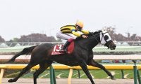 【競馬予想】今年の有馬記念は人気薄馬も見逃せない　血統分析で見えた、波乱を起こしそうな２頭は？