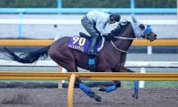 【有馬記念】途中からハナに立つも武豊騎手のメイショウタバルはまさかの２けた着順　同一年春秋グランプリ制覇ならず