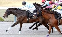 【阪神１１Ｒ・ギャラクシーＳ】ノーブルロジャーが直線一気でダート初勝利　石川裕紀人騎手「もう一度大きいところを」