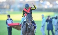 【有馬記念】3歳馬ミュージアムマイルが直線一気の差し切り！C.デムーロの鮮やかな手綱さばき