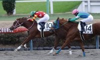 小林美駒騎手がキャリアハイの37勝をマーク…女性ジョッキー結果