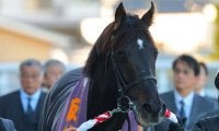 【阪神C】ルガルがG1馬の貫禄を見せる…ナムラクレアの連覇を阻止