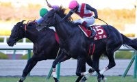 【阪神C】鮫島駿「さすがG1馬」ルガルがG1馬の貫禄を見せる