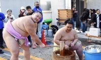朝乃山、餅つきで誓った現役を長く、太く「来年は三役になって年越しを」