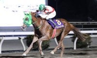 【高知・金の鞍賞】トサノシュジンコウが惜敗続きに終止符