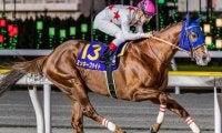 【東京大賞典】C.ルメール騎手が17年ぶり2勝目へ 主役のミッキーファイトで参戦