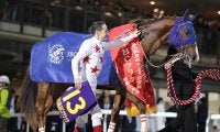 【大井・東京大賞典注目馬】有馬記念が終わってもビッグレースは続く 下半期のダート頂上決戦を制すのは