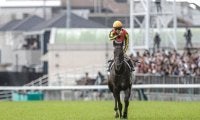【2025年GIプレイバック(上半期)】北村友一騎手のダービー初制覇、ベラジオオペラの大阪杯連覇など