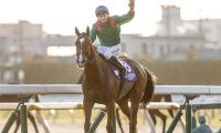 【2025年GIプレイバック(下半期)】外国馬による20年ぶりジャパンC制覇のカランダガン、マイルGI完全Vのジャンタルマンタルなど